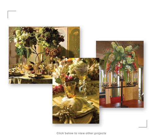 Tracy Design Graphic Print Services In Kansas City For Scandia Down Styling Merchandising