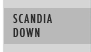 Scandia Down